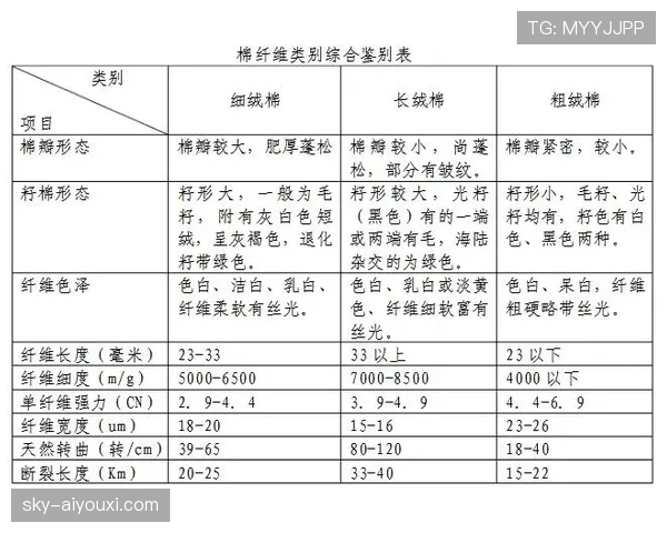 点球大战规则详解及关键判罚标准解析