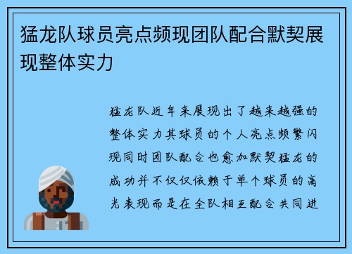 猛龙队球员亮点频现团队配合默契展现整体实力
