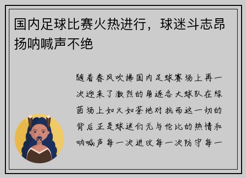 国内足球比赛火热进行，球迷斗志昂扬呐喊声不绝