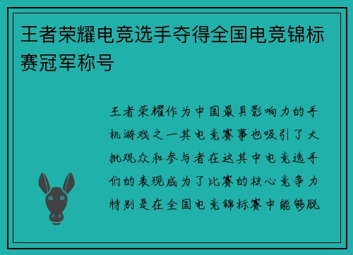 王者荣耀电竞选手夺得全国电竞锦标赛冠军称号